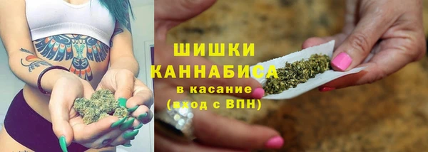 сатива Верхнеуральск