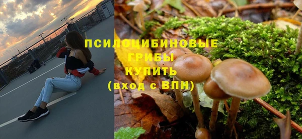 сатива Верхнеуральск