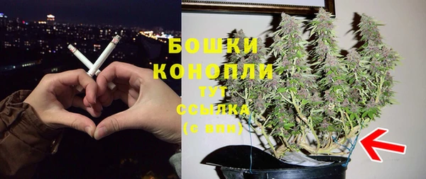 сатива Верхнеуральск