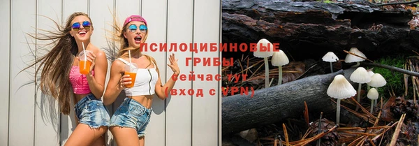 гашик Верхний Тагил